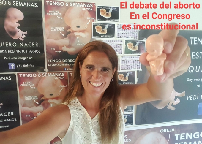 DEBATE ABORTO, LA MUJER DE LOS BEBITOS, MARIANA RODRIGUEZ VARELA,  «Cuando a una chica violada le hagan un aborto la van a estar violando de nuevo»