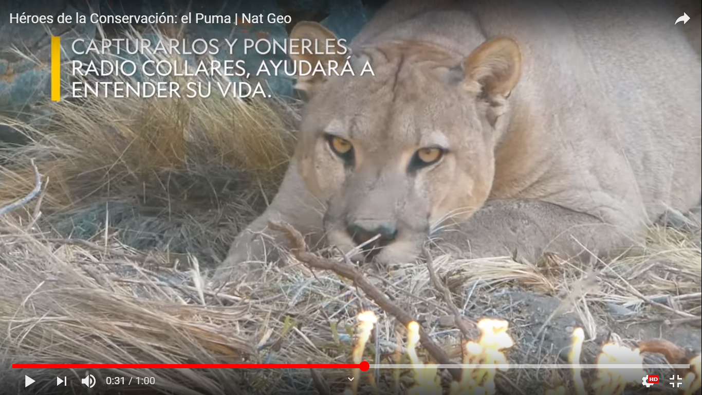 Héroes de la conservación, de Jumara Films, Juan María Raggio, «Elegir cada historia es dificil, son todos héroes»