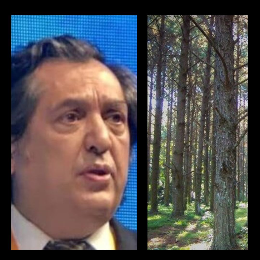 Renunció el Director Nacional de Bosques tras el recorte total de fondos