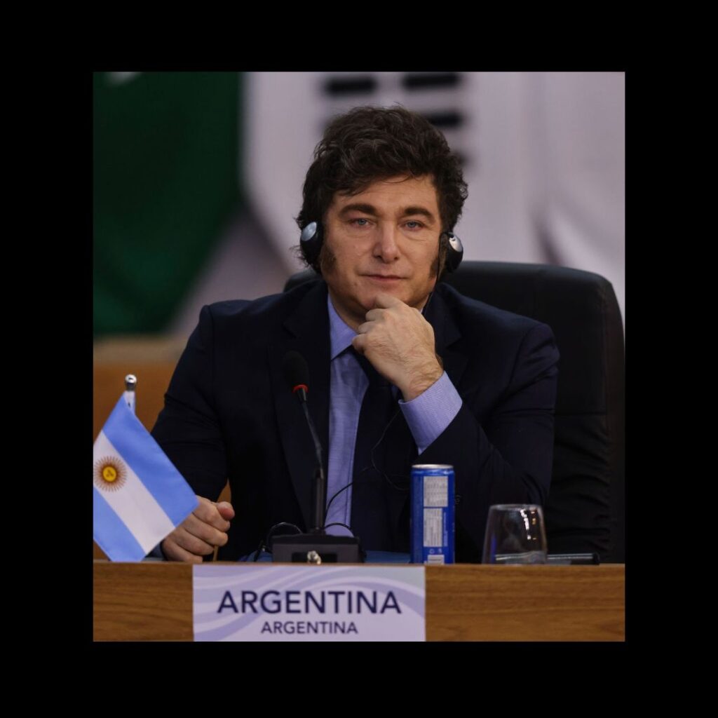 El balance verde de Milei muestra un año sin avances en sostenibilidad.