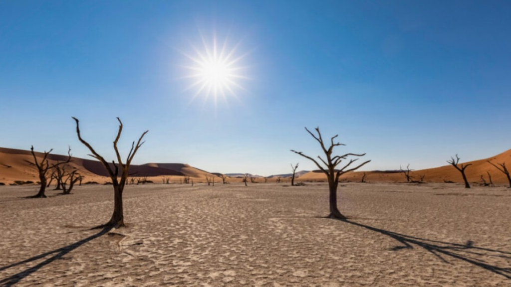 Retos y avances ambientales para 2025: Alerta y oportunidades?