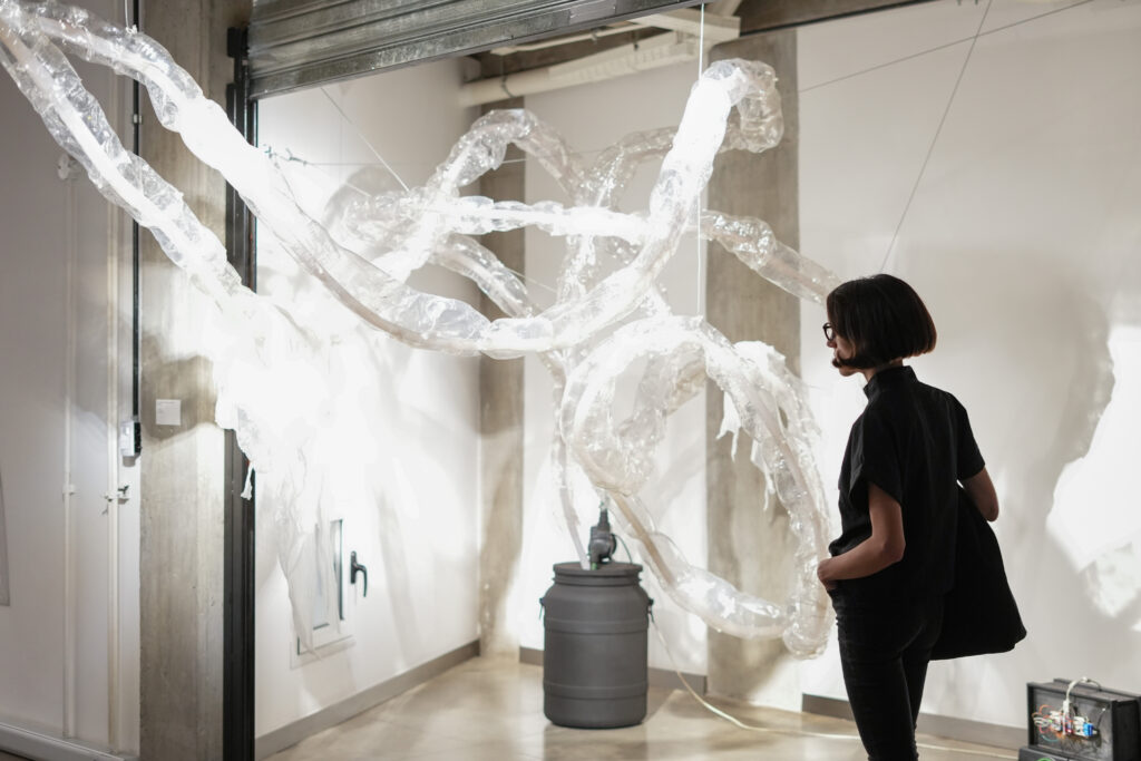 Gran concurso de arte de Fundación Andreani