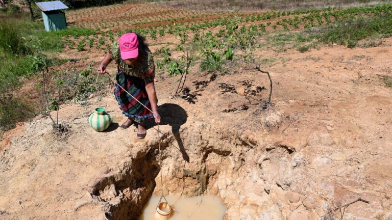 Cambio climático y desigualdad de género: las mujeres pagan el precio más alto