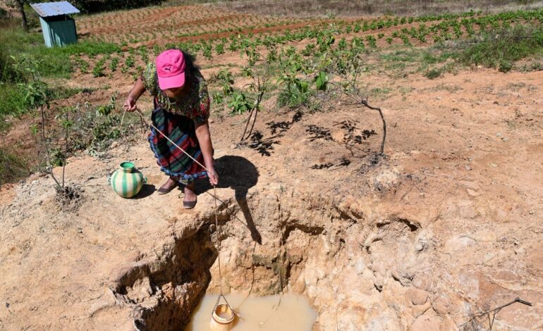 Cambio climático y desigualdad de género: las mujeres pagan el precio más alto