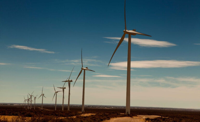 Telecom Argentina, metas de descarbonización y liderazgo climático