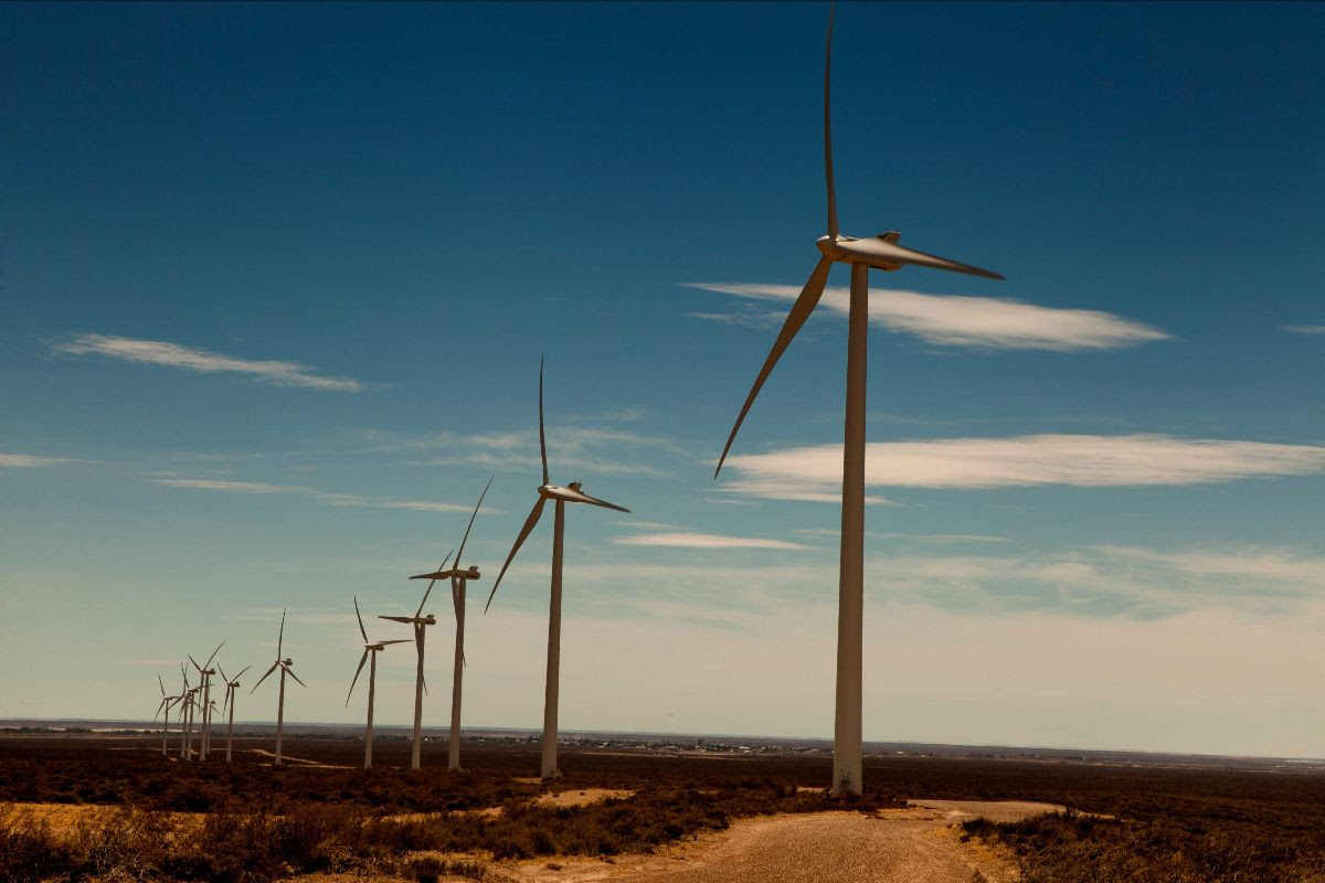 Telecom Argentina, metas de descarbonización y liderazgo climático