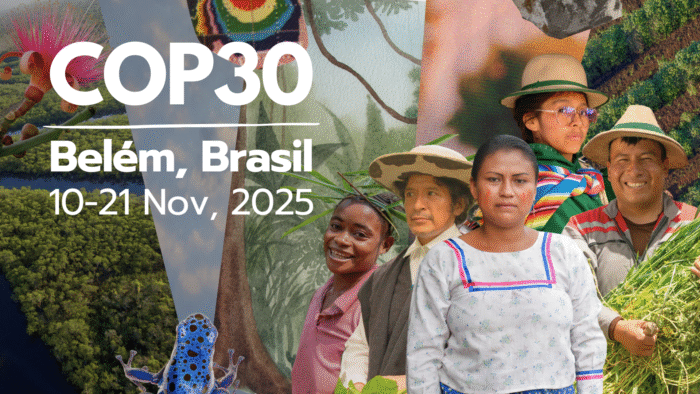 La COP30 evita «género» y usa «sexo»