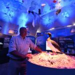 Instalación inmersiva La Marea de Consumo presentada por SC Johnson y La Ciudad Posible en Puerto Madryn