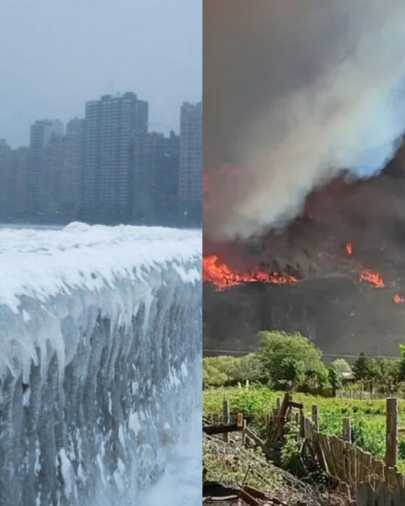 Incendios en la Patagonia y frío extremo en Estados Unidos en el Día Mundial de la Educación Ambiental