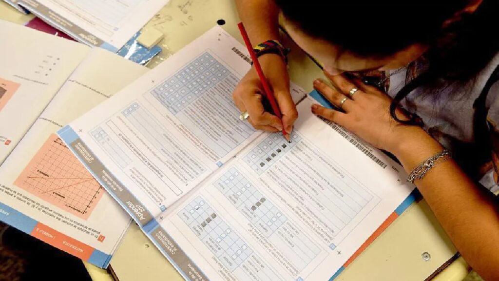 Pruebas Aprender 2025 resultados Lengua primaria